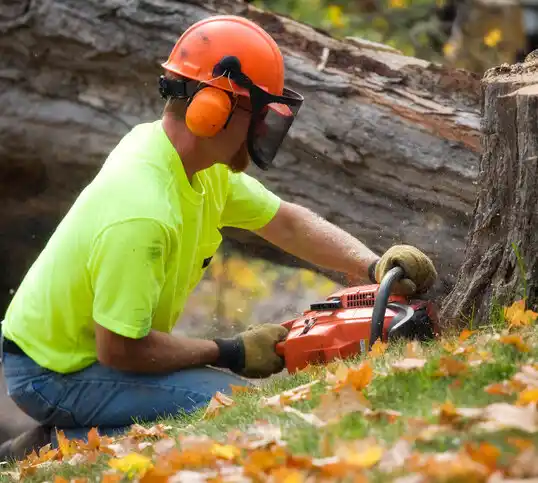 tree services Plentywood